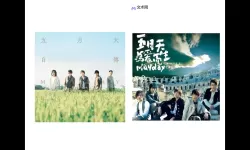 五月天综合激网：穿过城市霓虹的摇滚回声