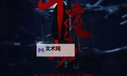夜色中的回声：4080yy午夜剧场