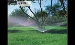 田野夜谈：遇见优质jy灌溉系统NPC的传说